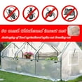 thumbnail image 3 of Peggybuy 60 Mesh Greenhouse Anti Insect Pest Fly Net Garden Plant Netting (2x10m), 3 of 9