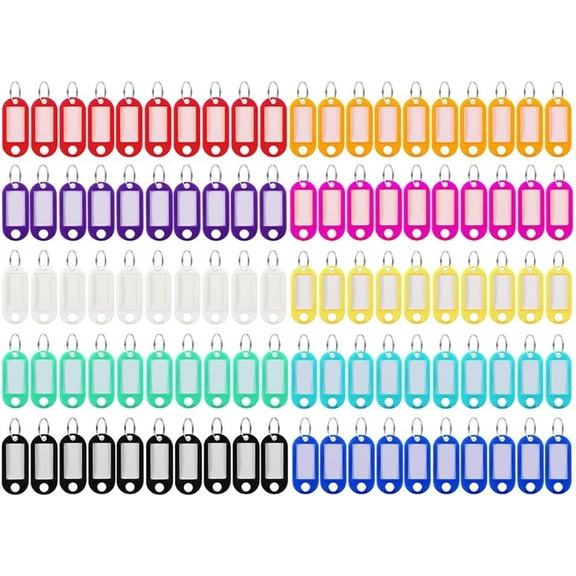 Key Tags with Split Ring, 100 PCS Plastic Key Fobs with 10 Colors ID Labels, Key Rings Name Tags for Keychain Pet Luggage Bag