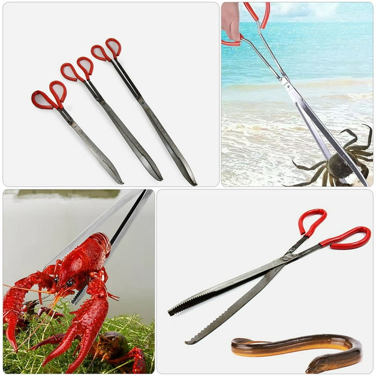 Eel Barbecue Tools Garbage Clip Sea Crab Picking Tong Sea Fish Clip Crab  Clip to Clamp Non-slip Iron Abs