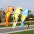 thumbnail image 4 of Decoración de Loros Artificiales Sharpla 12 Piezas de aves Emplumadas de Clip garra, 4 of 8