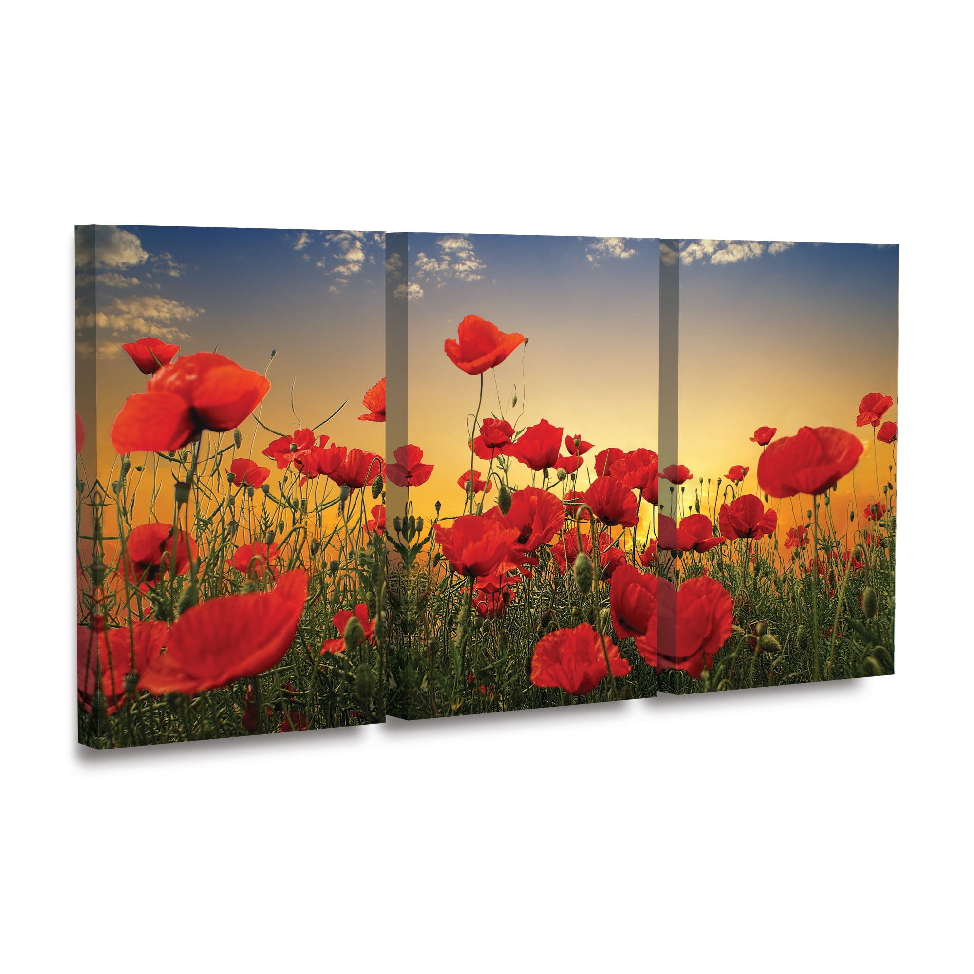 Albena Markova ‘Poppies’ 3 Panel Wall Art Set
