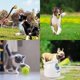 thumbnail image 5 of Pelota de tenis para perro y mascota Prime, paquete de 6, 6,35 cm para lanzador automático, 5 of 5