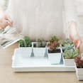 thumbnail image 4 of Resin Nursery Pot Flower Container Breathable Propagation Succulent Planter - Jxlgv, 4 of 5