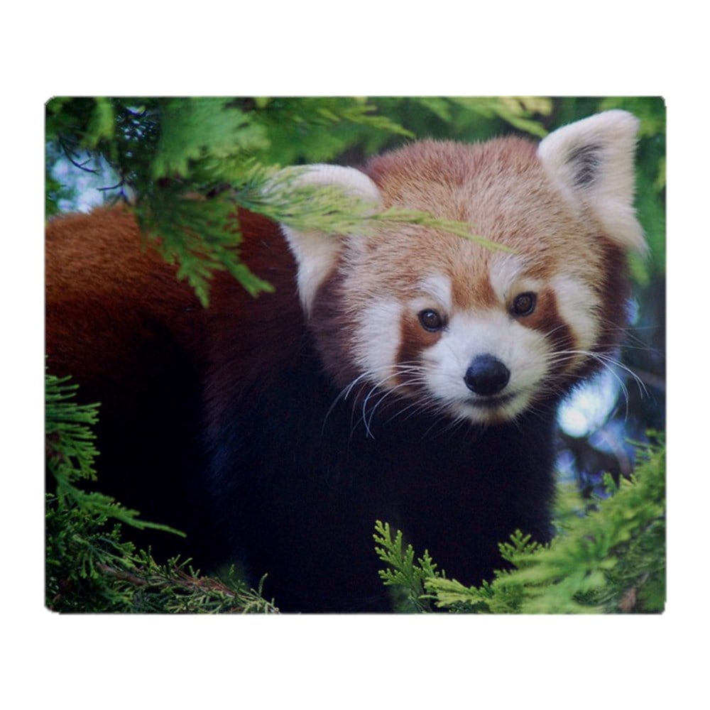 CafePress Red Panda Soft Fleece Throw Blanket, 50"x60" Stadium