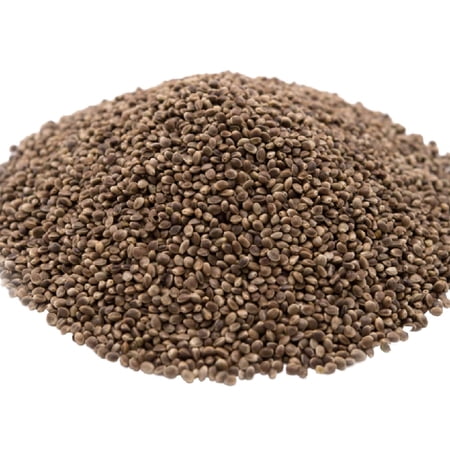 Roasted Unsalted Hemp Seeds In Shell by Gerbs - 2 LBS. - Top 14 Food Allergen Free & Non GMO - Vegan & Kosher