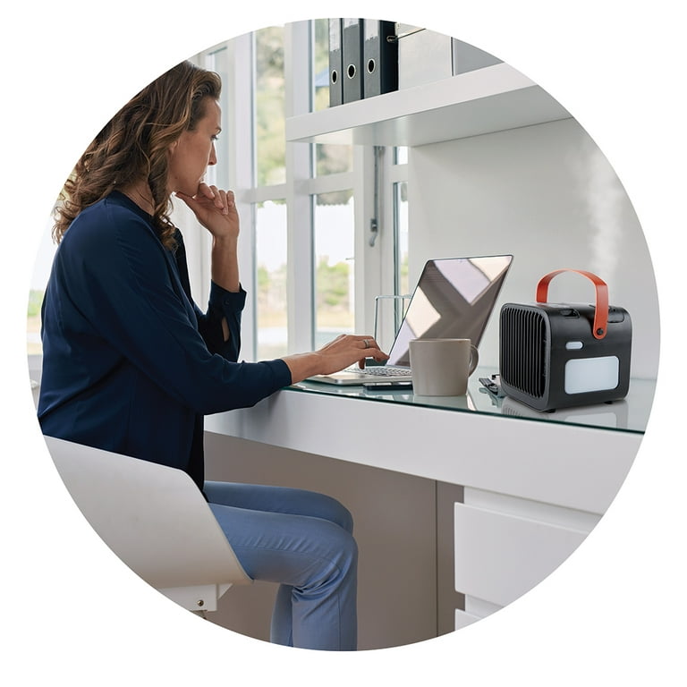 Hy-Impact Therma Mist - Space Heater and Humidifier with Programmable Timer  - Walmart.com