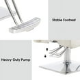 thumbnail image 2 of BarberPub Classic Hydraulic Barber Chair Recline Salon Beauty Spa Hair Styling 2065 Champagne, 2 of 8