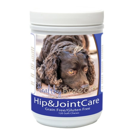 UPC: 0840235183204 | Healthy Breeds American Water Spaniel Hip and Joint Care 120 Count