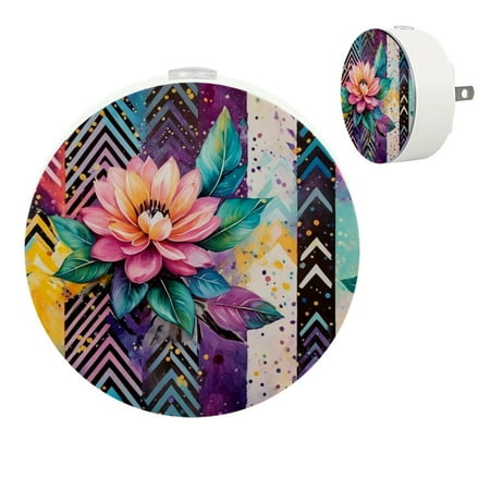 

YZUOUZY Night Lights Plug into Wall Small Lamp Small Bedside Lamps Set of 2 Roses Abstract Art Transparency