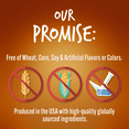 thumbnail image 5 of Fruitables Baked Dog Treats – Pumpkin Treats for Dogs – Healthy Low Calorie Treats – Free of Wheat, Corn and Soy – Sweet Potato and Pecan – 7 Ounces, 5 of 7