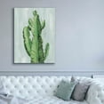 thumbnail image 5 of Epic Graffiti 'Front Yard Cactus II Slate' by Silvia Vassileva, Canvas Wall Art, 40"x54", 5 of 8