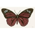 thumbnail image 3 of Stellar Design Studio 24x16 Black Modern Framed Museum Art Print Titled - Papillon 4, 3 of 5