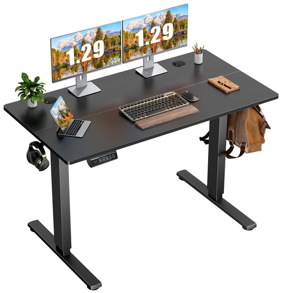 LIFERECORD Electric Adjustable Height Standing Desk 48x24 inch Sit to Stand Up Desk with Splice Board Black
