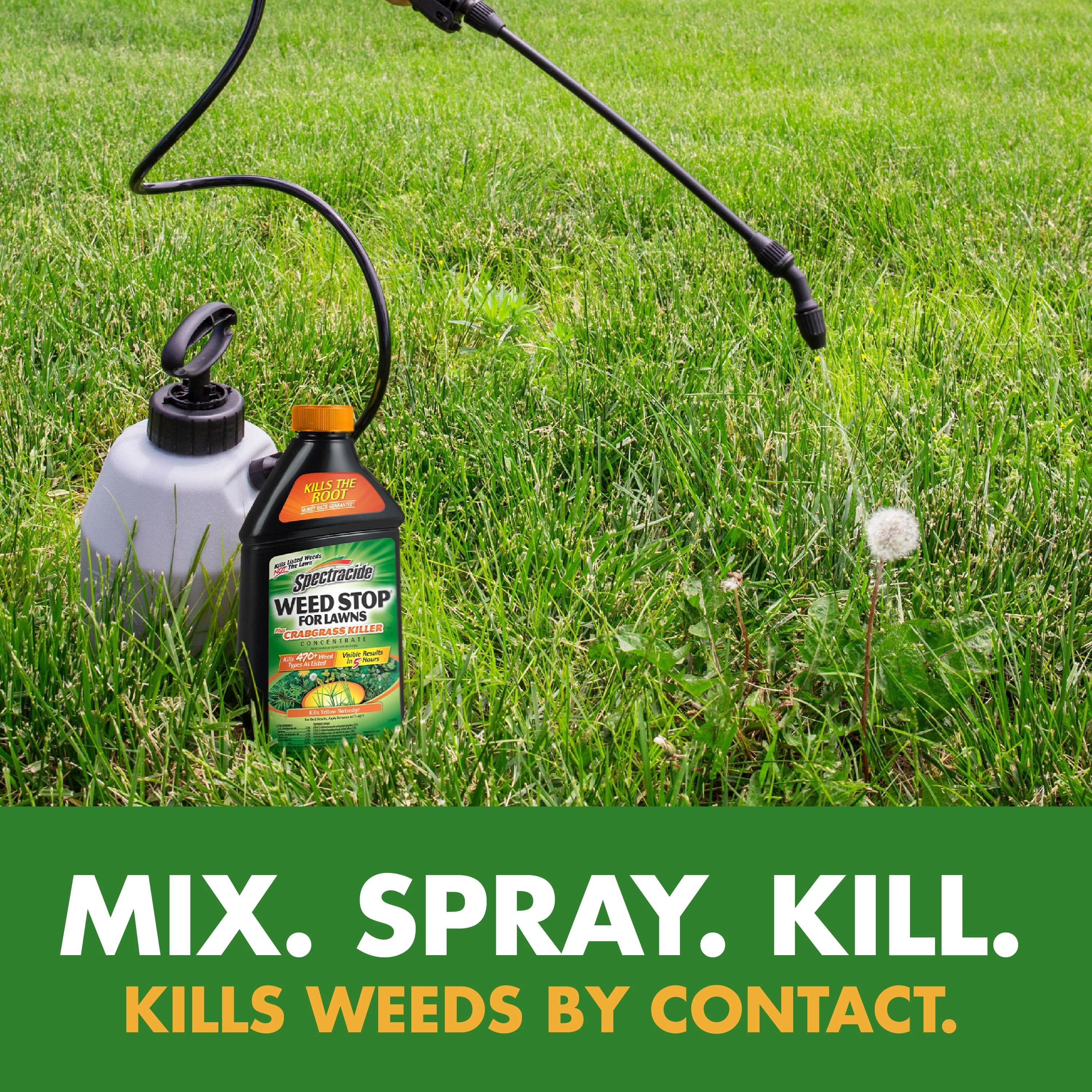 Spectracide Weed Stop for Lawns Plus Crabgrass Killer Concentrate, 32 Ounces