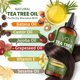 thumbnail image 3 of Aceite de tratamiento capilar VITAL AFFAIR Tea Tree con jojoba 180 ml, 3 of 8