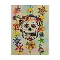 Trademark Fine Art 'Estrellas' Canvas Art by Charlsie Kelly