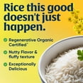 thumbnail image 3 of Lundberg Organic Basmati Rice - Regenerative Organic Certified, 2lb Resealable Bag, 3 of 10