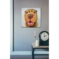 thumbnail image 6 of Epic Art 'Follow Your Nose 6' by Lucia Heffernan, Acrylic Glass Wall Art, 24"x24", 6 of 10