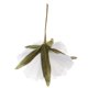 thumbnail image 5 of de Festival de de Bricolaje de Flores de Peonía Artificial Grande de 60 Cm Blanco perfecl Flor artificial de Penoy, 5 of 8