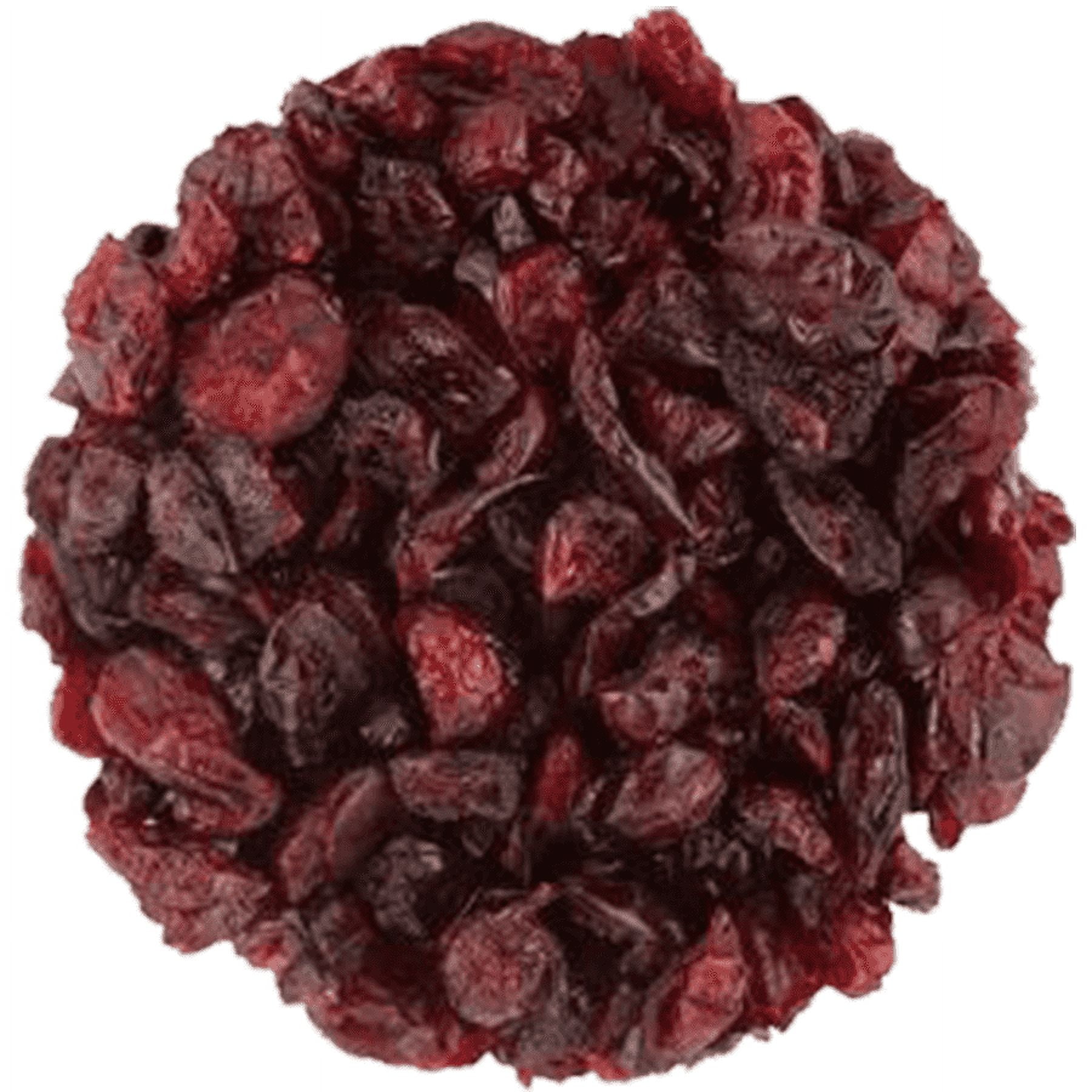 NY SPICE SHOP Dried Cranberries - 5 Pound - Cranberries Dried - Sweet Dehydrated Fruit - Snack Treat