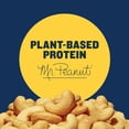 thumbnail image 5 of Deluxe Salted Whole Cashews, Party Snacks, Plant-Based Protein, Quick Snack for Adults, After School Snack, Roasted Cashew Flavored with Sea Salt, Bulk Nuts, Kosher, 1 lb 2.25oz Canister, 5 of 5