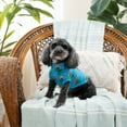 thumbnail image 6 of Vibrant Life, Dog and Cat Clothes, Fiesta Cactus Collared, Pet T-Shirt, Blue, S, 6 of 8