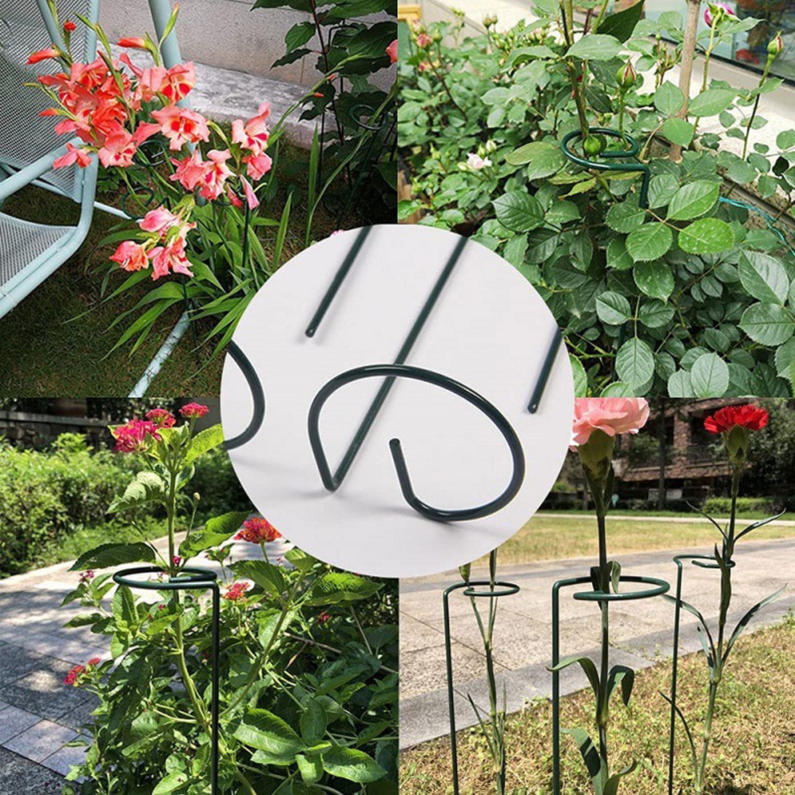 Plant Support Stakes Set,Plant Support Stakes for Plant Flowers,Amaryllis,Rose,Vegetable With 6 Pcs 16 inch Climbing Wrought Iron Plant Support Rod Pole,20 Plant Buckles,6 Label Inserts,10 Cable Ties