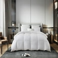 thumbnail image 2 of Serta TENCEL™ Lyocell and Cotton Blend European Down All Seasons Comforter - Full/Queen, 2 of 5