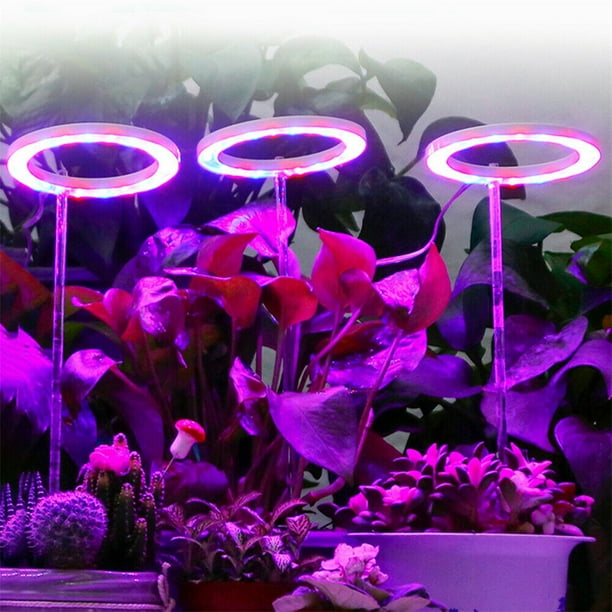 Grow lights walmart canada online