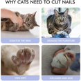 thumbnail image 4 of Tijeras de garra, tijeras de uñas para mascotas, cortaúñas de acero inoxidable con lima de uñas y límite de seguridad, para perros, gatos, pájaros, roedores y cualquier tamaño de garra (ro esquí esquí Gafas de esquí, 4 of 5