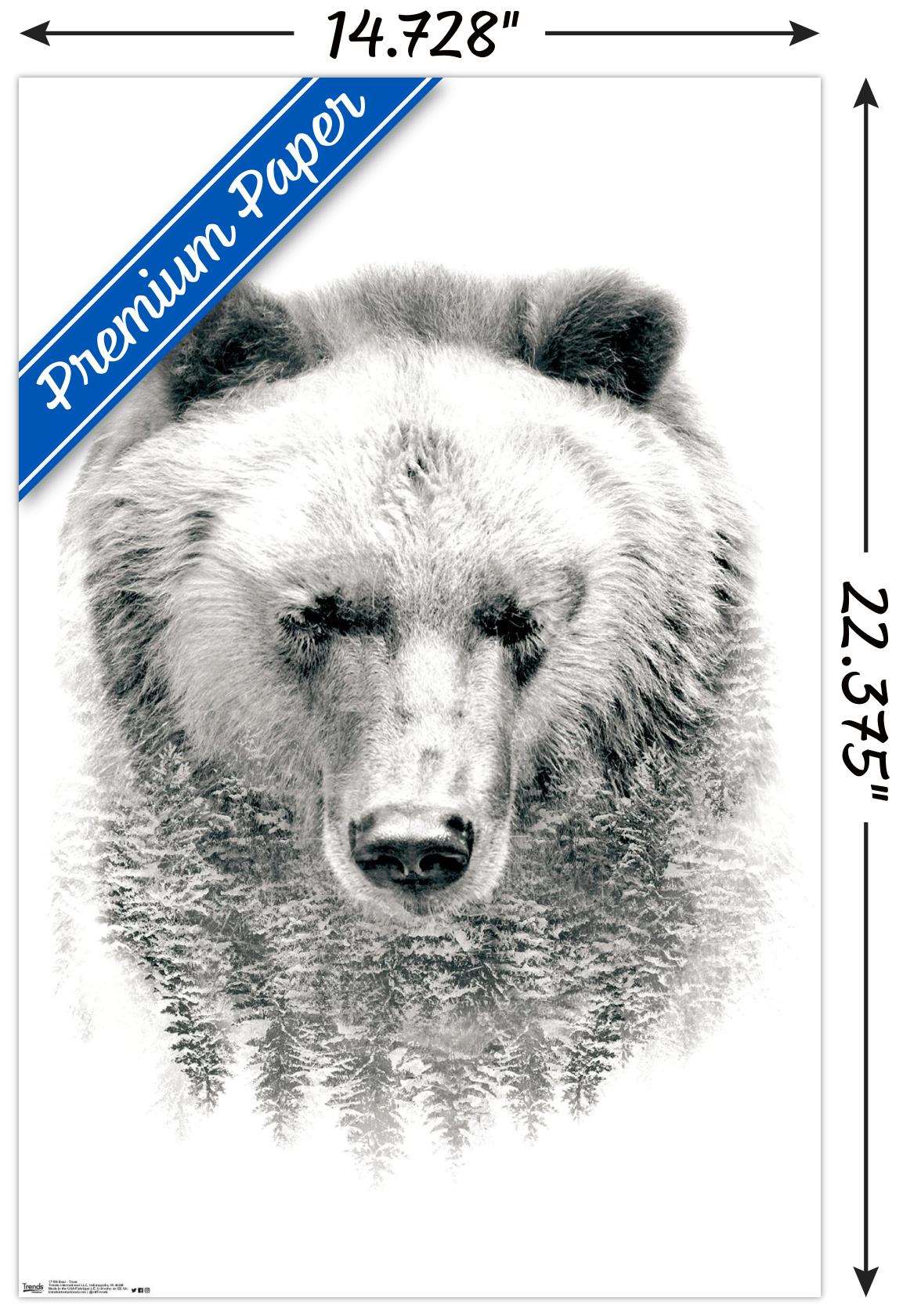 Bear - Trees Wall Poster, 14.725" x 22.375"