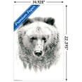 thumbnail image 3 of Bear - Trees Wall Poster, 14.725" x 22.375", 3 of 3