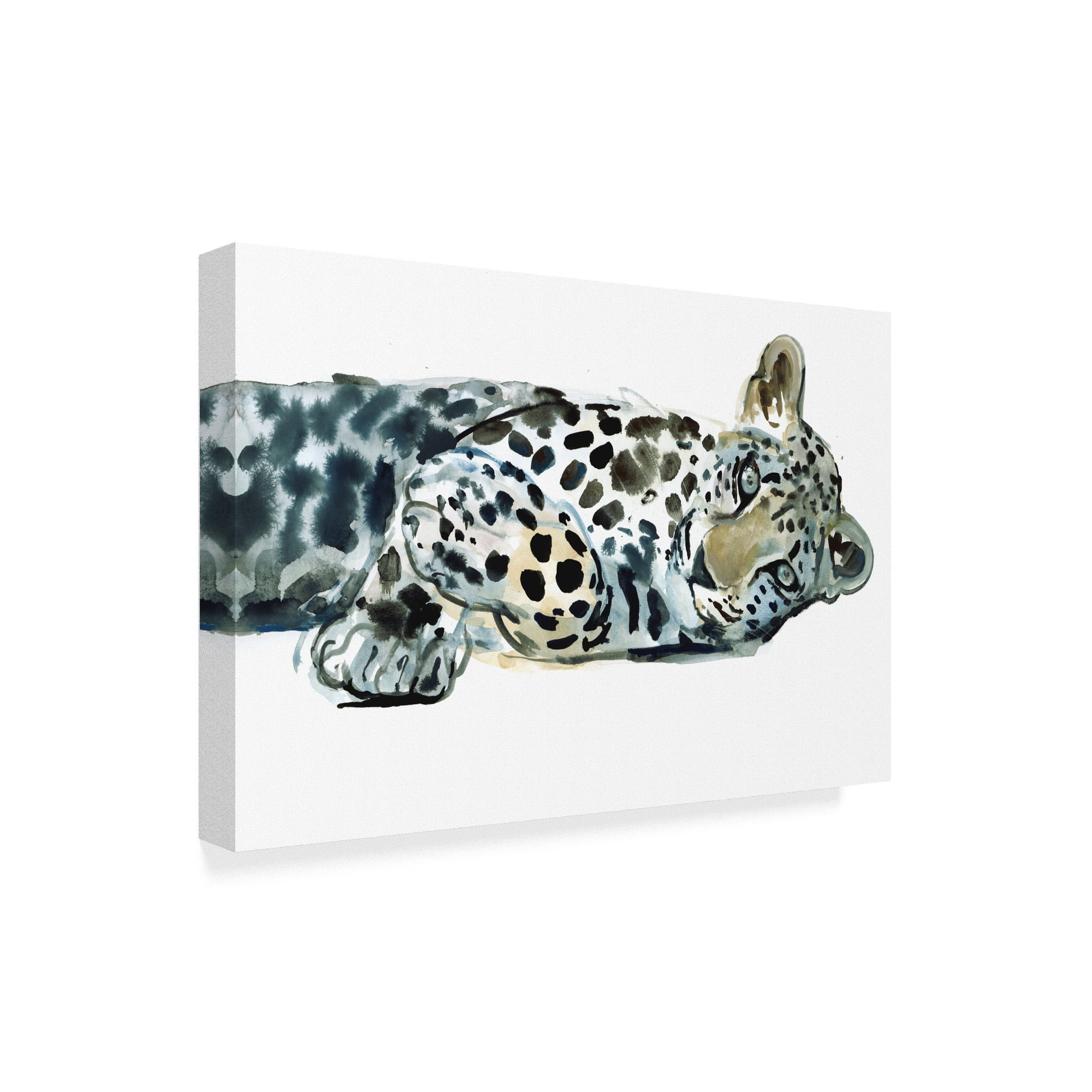 Trademark Fine Art 'Broken Siesta' Canvas Art by Mark Adlington