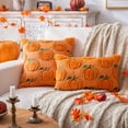 thumbnail image 3 of Fall&nbsp;Pumpkin Orange Throw Pillow Covers 18x18 Inch,&nbsp;Pack of 2 Decorative Autumn Pillows Cases for&nbsp;Halloween Holiday Decor Couch Sofa&nbsp;Living Room Decorations, 3 of 6