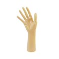 thumbnail image 4 of Xingzhi Mannequin Hand Jewelry Display Holder Support Hand Shop Chain for Model Yellow Skin Color 25.5cm 1Set, 4 of 6