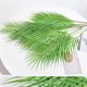 thumbnail image 3 of Advancent Plantas de palma falsas respetuosas del medio ambiente elegantes de bajo mantenimiento de la palmera tropical de cerámica plástica Decoración, 3 of 6