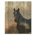 thumbnail image 3 of Designart 'Close Up Portrait Of A Horse On An Autumn Morning' Farmhouse Print on Natural Pine Wood, 3 of 5