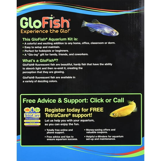 glofish 3 gallon aquarium