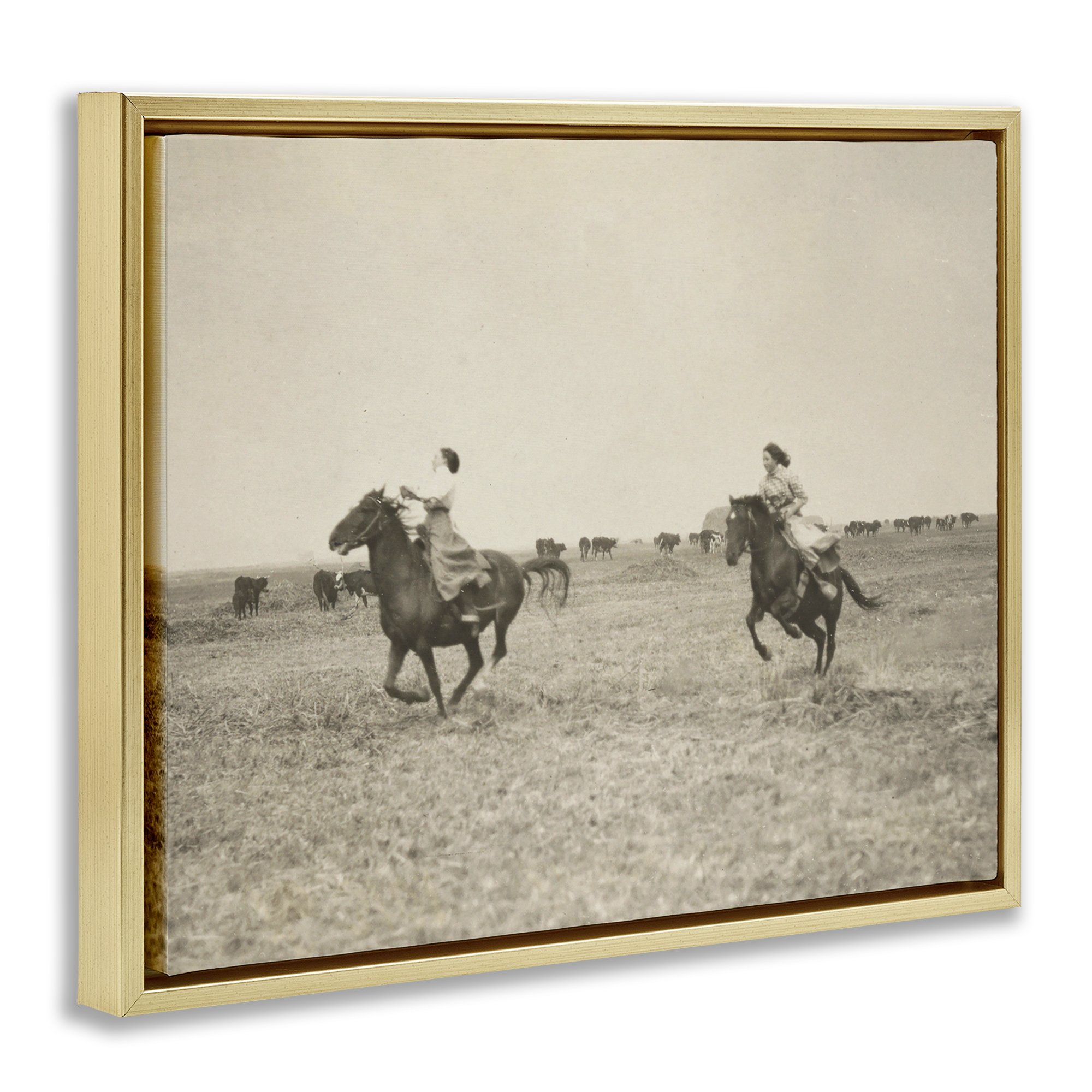 Stupell Industries Galloping Cowgirl Friends Animals Photography Gold Floater Framed Canvas Art Print Wall Art, 31 x 25