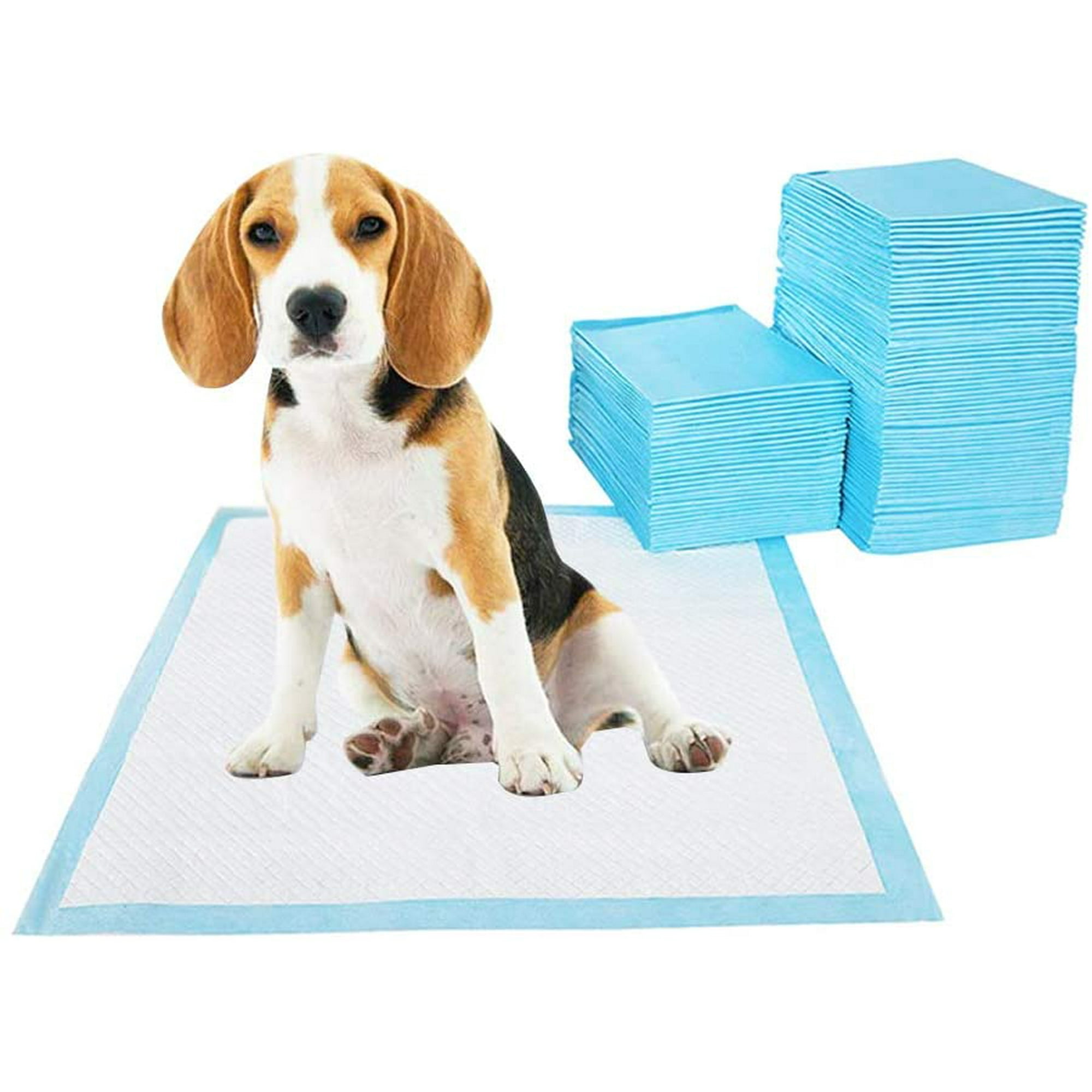Puppy trainer pads hotsell