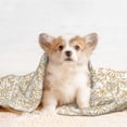 thumbnail image 4 of Naloa Plant Dog Blanket, 3 Sizes Cat Blanket for Indoor Cats Large Medium Small Dog Gifts-Small, 4 of 8