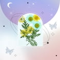 thumbnail image 4 of Flor seca natural Flores coloridas Ornamento Arte DIY Crafting Flossed Floral Seco Plant para tarjetas de boda Velas de resina 5 Conjuntos Speravity HA010742-00, 4 of 7