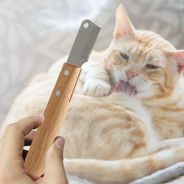 Outil de Toilettage Durable à Manche en Bois pour Réduire la Perte de Poils pour Chats et Chiens