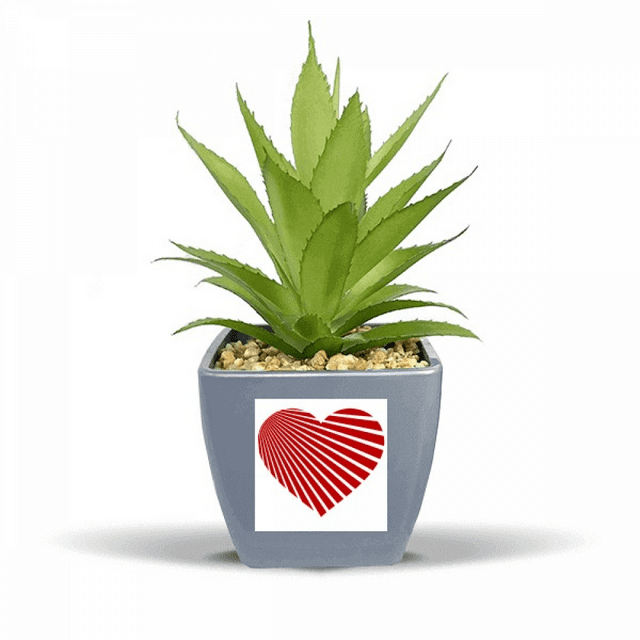 Pot de Fleurs Ananas en Forme de Cœur Rouge pour la Saint-Valentin Mini Décor