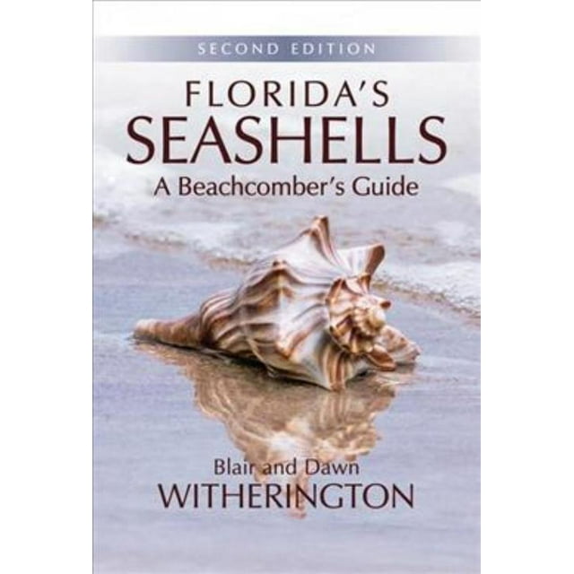 Florida's Seashells, Blair Witherington, Dawn Witherington Paperback