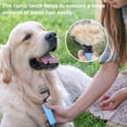 thumbnail image 3 of Primegos Pet Detangling Comb Handheld Undercoat Rake for Dogs Cats Double-Sided Stainless Steel Teeth Grooming Brush for Thinning Shedding, 3 of 8