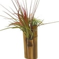thumbnail image 6 of Bamboo Tillandsia Garden Mounted and Planted Moss, Air Plant Decoration, 6 of 6