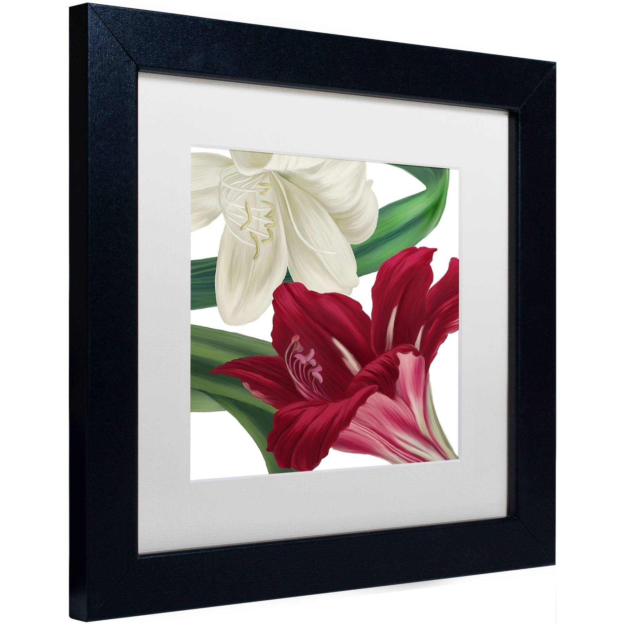 Trademark Fine Art "Christmas Amaryllis II" Canvas Art by Color Bakery White Matte, Black Frame