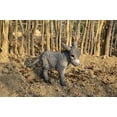 thumbnail image 2 of 13" Standing Donkey Looking Right Outdoor Garden Statue, 2 of 6