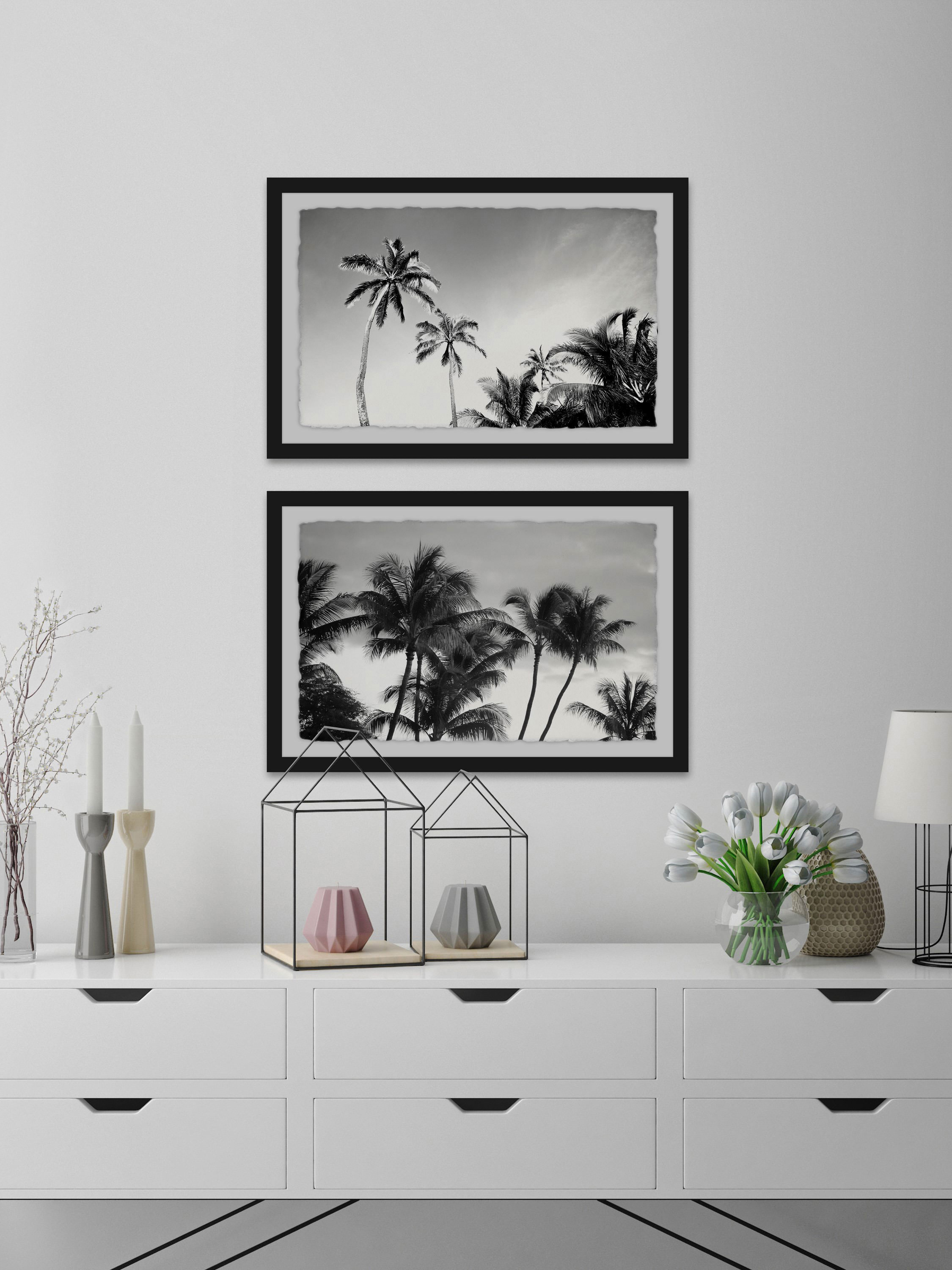 Palm Views Diptych